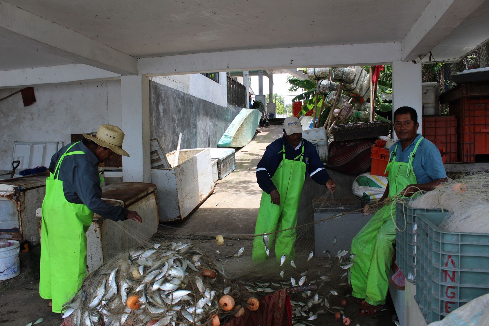 Conservación marina